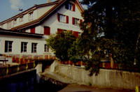 tnalwin.jpg (11435 bytes)