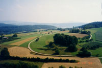 tnscen.jpg (8153 bytes)