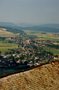 tnstein2.jpg (21863 bytes)