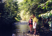 tnsurbr2.jpg (14664 bytes)